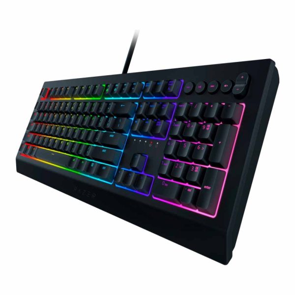 کیبورد Razer Cynosa V2